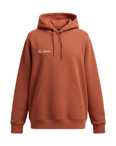 Hoodie terracotta homme face