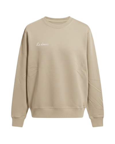 Pull beige homme face