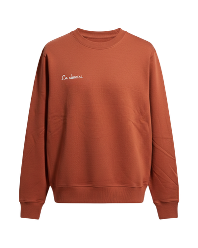 Pull terracotta femme face