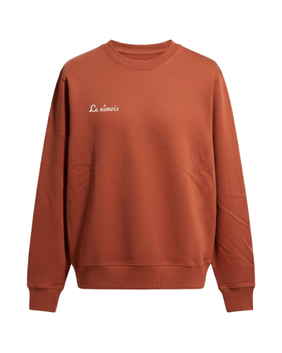 Pull terracotta homme face